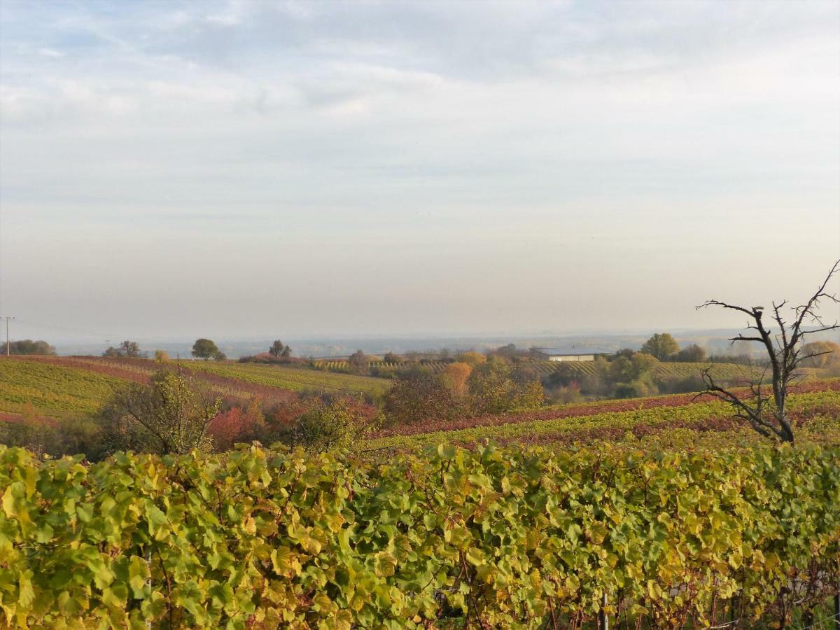Apartment An Der Weinstrasse Oberotterbach ภายนอก รูปภาพ