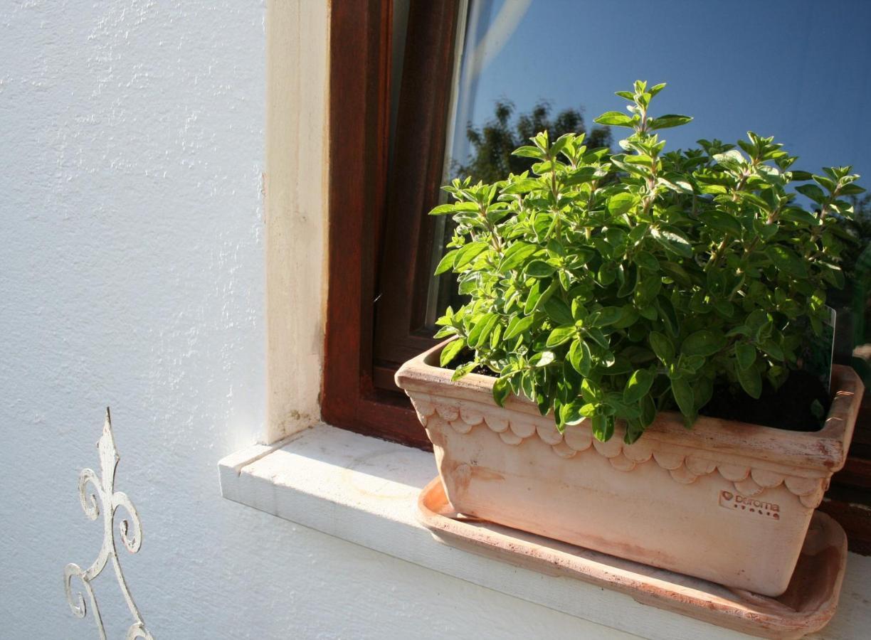 Apartment An Der Weinstrasse Oberotterbach ภายนอก รูปภาพ