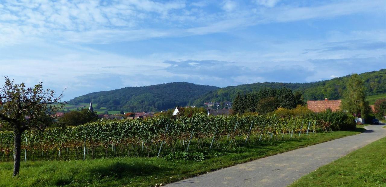Apartment An Der Weinstrasse Oberotterbach ภายนอก รูปภาพ